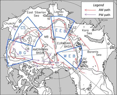 Borealization of the Arctic Ocean in Response to Anomalous Advection From Sub-Arctic Seas